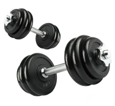 40lb Adjustable Dumbbell Set, Chrome & Black